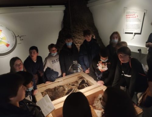 Year 6 Florimont students visit the Natural History Museum of Geneva